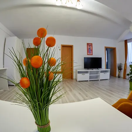 Guest house Coralis 3*